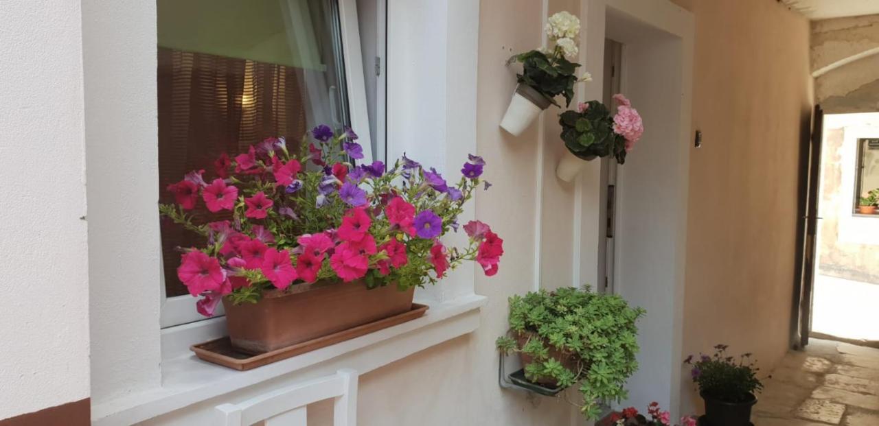 PUY Apartment Asja Old City Center מראה חיצוני תמונה